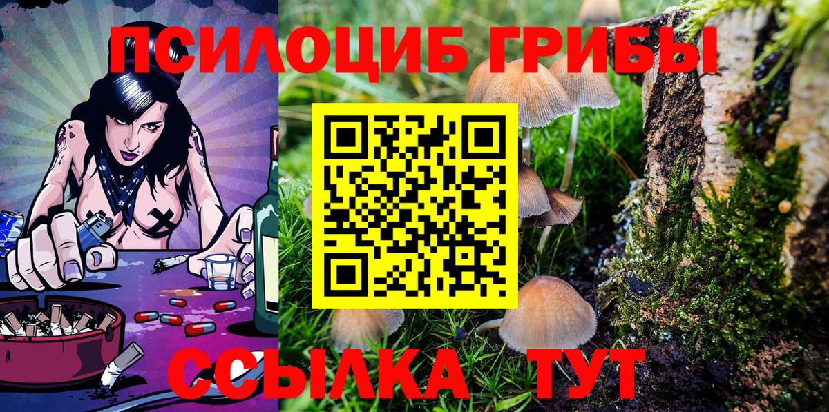 Псилоцибиновые грибы мицелий Петрозаводск