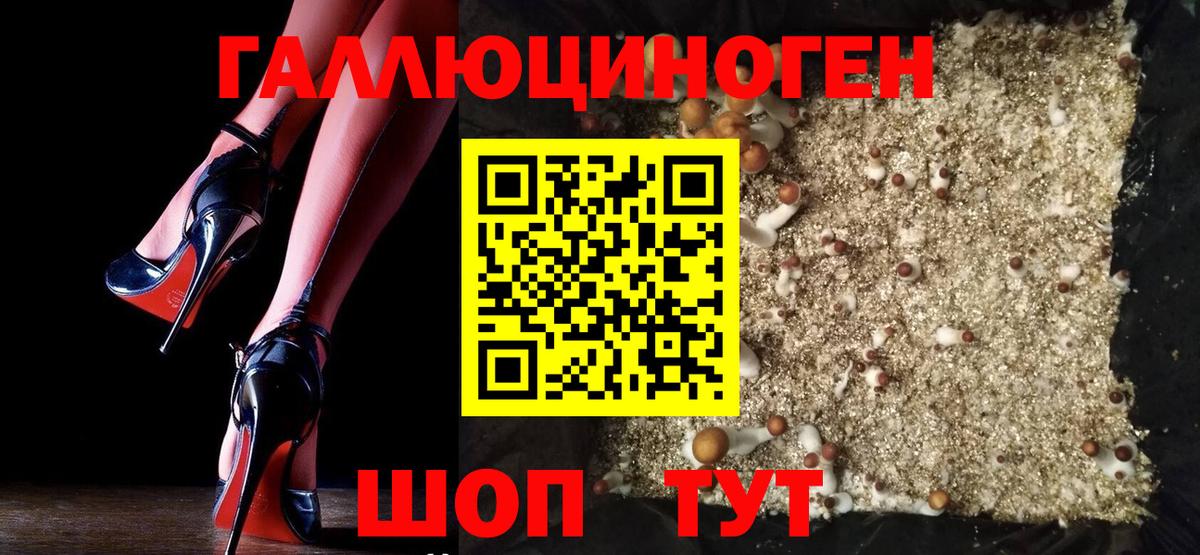 Псилоцибиновые грибы GOLDEN TEACHER  Галлюциногенные грибы мухоморы  Вход с VPN  Петрозаводск 